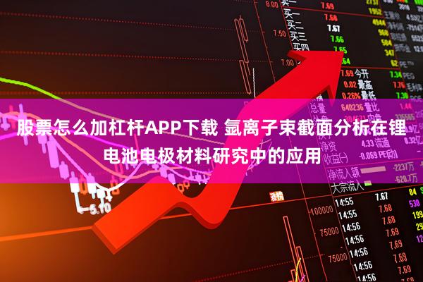 股票怎么加杠杆APP下载 氩离子束截面分析在锂电池电极材料研究中的应用