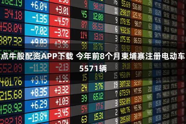 点牛股配资APP下载 今年前8个月柬埔寨注册电动车5571辆