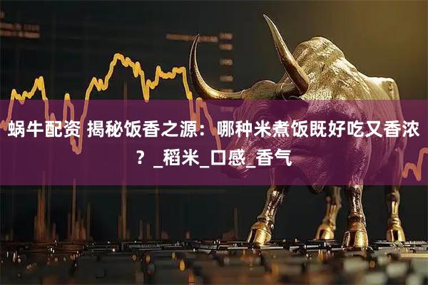 蜗牛配资 揭秘饭香之源：哪种米煮饭既好吃又香浓？_稻米_口感_香气