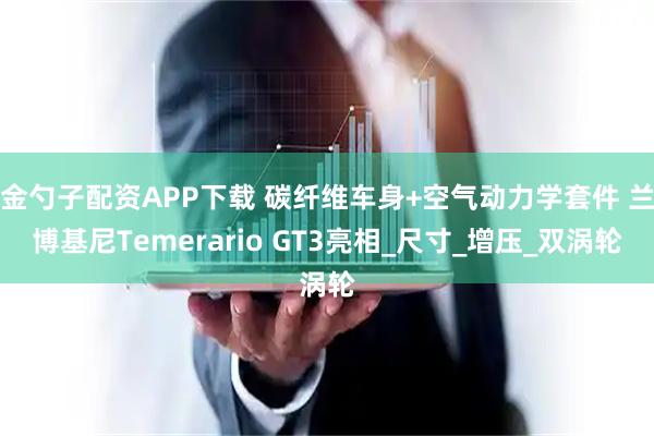 金勺子配资APP下载 碳纤维车身+空气动力学套件 兰博基尼Temerario GT3亮相_尺寸_增压_双涡轮