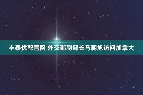 丰泰优配官网 外交部副部长马朝旭访问加拿大
