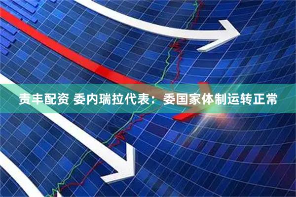 责丰配资 委内瑞拉代表：委国家体制运转正常